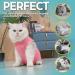 Avont Katzenbody Recovery Suit for Cats - Post-Op Castration Spay & Wound Protection in Rose Pink Size L - Ideal for Skin Diseases & Weaning - Buy Online on GoSupps.com