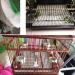 Gigicloud 100-Piece Disposable Bird Cage Liner Paper | Absorbent Precut Fecal Tray Liners 12'' x 10'' | Ideal for Bird Parrot Cages - Buy Online on GoSupps.com