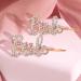 2Pc Bride Hair Clips Bachelorette - Bride Accessories For Bachelorette Party Bride To Be Gifts