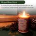 ADK Balsam & Cedar Scented Candle - 10 Oz Natural Aromatherapy for Home & Kitchen Decor | Relaxing Plant-Based Wax Gift for Christmas - Buy Online on GoSupps.com