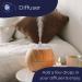 Meta Title: Mystic Moments Coffee Fragrance Oil 500g - Ideal for Soaps, Candles, Bath Bombs, Oil Burners, Diffusers, Skin & Hair Care - Buy Online on GoSupps.com