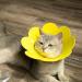 3Pcs Cat Recovery Collar Set - Sunflower Neck Cone for Anti-Licking & Biting - Pink Orange Yellow - Buy Online on GoSupps.com