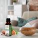 Cedarwood (Cedar) Oil 100% Pure Undiluted Natural Uncut Therapeutic Grade Steam Distilled Essential Oils for Skin Hair and Aromatherapy 500ML - Buy Online on GoSupps.com