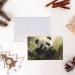 YYHWHJDE White Cute Little Panda Printing High-Grade Pearl Paper Greeting Card : 4x6 In For Birthday Card Party Invitation Card White One Size - Buy Online on GoSupps.com
