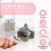 Premium Catnip Balls for Cats - 3pcs Edible Toys with Storage Lids & 360 Rotating Wall Roller - Buy Online on GoSupps.com