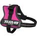 K9 Powerharness XS/Mini-Mini - Dark Pink | International Shipping Available - Buy Online on GoSupps.com
