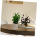 TOPBATHY False Green Plant 5 Pcs Simulated Potted Plant Pulp Potted Plants Household Fake Trees Artificial As Shownx5pcs 21.5x8cmx5pcs - Buy Online on GoSupps.com