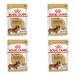 Royal Canin Dachshund Adult Mousse | Pack of 4 | 4 x 12 x 85 g | Complete Food for Dogs | for Adult Dachshunds | May Help Protect Bones and Joints