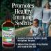Nature's Answer Echinacea Extract with Organic Alcohol - 2 fl oz | Immune Support - Buy Online on GoSupps.com