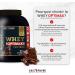 WHEY OPTIMAX PROTEIN +74% Bi-Source Protein: WPC + Patented Protein 17g BCAA 11g Glutamine Low Sweetness Smooth | Ideal for Muscle Gaining | Cookies 1.5 kg - Eric Favre - Buy Online on GoSupps.com