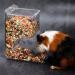 Hamsters Feeder Small Animals Automatic Dispenser Gravity Auto Dispensers Pet Pellets Food Storage Bowl - Dwarf Hamster Gerbils Mice Hedgehog Guinea Pig and Other Small Animal Ideal Feeding Station - Buy Online on GoSupps.com