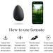 Sensate Relaxation Device - for Immediate Calm and Long Term Stress Resilience - with Patented Infrasonic Resonance Technology (Does not Include Sensate Plus) 1-Pack - Buy Online on GoSupps.com