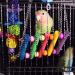 Deloky 8 Pack Bird Swing Chewing Toys - Parrot Hammock Bell Toys for Small Parakeets, Cockatiels, Conures, Finches, Macaws, Love Birds - Bird Toy Set - Buy Online on GoSupps.com