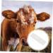 Beaupretty 2 StK Pregnant Tester - Farm Animal Pregnancy Test Paper for Cattle & Sows | Colloid Test Card Tool - 1 Pack - Buy Online on GoSupps.com
