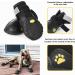 Faankiton Dog Shoes - Waterproof Non-Slip Paw Protection | 4 Pack for Medium & Large Dogs (Size 7) - Reflective Straps - Buy Online on GoSupps.com