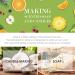 SALKING Fruity Essential Oils Set - 6 x 10ML Gift Set for Diffuser & Candle Making - Pineapple, Guava, Raspberry, Green Apple, Orange, Cherry Scents - Buy Online on GoSupps.com