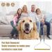 Molain Pet Hair Remover - Best Cat & Dog Hair Remover for Furniture | 17.5x12.5 cm | Effective All-in-One Solution for Pet Owners - Buy Online on GoSupps.com