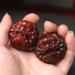 Unbit Ball Stretcher & Magnetic Stress Ball | Walnut Carving Fitness & Handball Gifts | Baoding Ball - Unique Play Ornaments - Buy Online on GoSupps.com