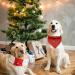 Buy Lionheart Glory Dog Haller Christmas Bib | Adjustable Red Plaid Neckerchief for Large Dogs Packable Soft Cotton - Buy Online on GoSupps.com