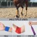 Sagafly 12 Rolls Self Adherent Cohesive Bandages 7.5cm x 4.5m Self Adherent Bandage Pet Vet Wrap for Dogs Horses Self Adhesive Bandage Wrap Elastic Sports Tape for Wrist Ankle Sprains & Swelling - Buy Online on GoSupps.com