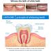 Buy 2-Piece Gum Therapy Gel for Effective Periodontal Treatment | Brightening Tooth Health Gel - Buy Online on GoSupps.com