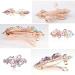 ACO-UINT 5 Pack Crystal Hair Barrettes for Women - Butterfly French Hair Clips for Thick Hair - Rhinestone Hair Accessories (Style2) - Buy Online on GoSupps.com