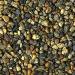 Pettex Roman Gravel Alpine White 8 kg - Buy Online on GoSupps.com