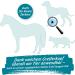 Ticksafe 2-Pack Tick Grippers with Rotating Head | Best Alternative to Tick Tongs - No Squeezing Pulling or Pressing - Turquoise for Animals - Buy Online on GoSupps.com