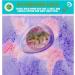 GLOWLYLITE - Colorful Dino Bath Bombs for Kids with Surprise Dinosaur Inside - Bubble Bath Gift with XL Toys and Stickers Included - Buy Online on GoSupps.com