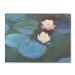 YouCustomizeIt Water Lilies #2 Microfiber Screen Cleaner