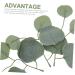 Alipis 250 Pcs Artificial Willow Leaves Faux Eucalyptus Stems Faux Eucalyptus Branches Faux Plant Greenery Stems Wedding Ceremony Decorations Garland Decorative Leaves Household Plastic Green 1x5pcs 14X13.5CMx5pcs - Buy Online on GoSupps.com