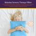Special Supplies Vibrating Pillow | Sensory Pressure Activated for Kids and Adults | 12 x 12 Plush Minky Cover | Therapy Stimulation Bumps | Blue - Buy Online on GoSupps.com