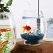 YukiHalu 30W Mini Submersible Aquarium Heater with Thermometer & External Controller - Ideal for 3 Gallon Tanks - Buy Online on GoSupps.com