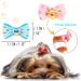 Voarge 50-Piece Dog & Cat Hair Accessories Set - Hairpins & Clips with Elastic Loop - Perfect for Pets Worldwide - Buy Online on GoSupps.com