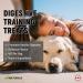 miNATURALS Pets K9 Fibre Training Treats for Dogs 400 Bites Natural Superfoods with Peanut Butter Pumpkin Banana & Apple Digestive Support Dogs Made in Canada - Buy Online on GoSupps.com