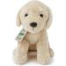 Zappi Co Labrador Plush Toy (25cm) - Friendly & Eco-Friendly Dog for Young Canine Fans - Buy Online on GoSupps.com