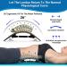 2022 Upgraded Back Stretcher & Cracker for Lower Back Pain Relief - Adjustable Multi-Level Spine Deck with Massage Points - Ideal for Herniated Disc, Scoliosis, Sciatica - Buy Online on GoSupps.com