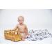 Buy Petit Lulu Size 2 Prefold Pul Overstates - Washable & Waterproof Cloth Diapers for 5-16 kg | Eco-Friendly Baby Diaper Pants | Made in EU - Buy Online on GoSupps.com