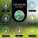 Buy Dried Rose Petals & Buds for Tea | 100g of Premium Controlled Cultivation - Buy Online on GoSupps.com
