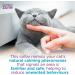 Buy Pheromone Calming Collar for Cats - Stress Relief & Behavior Control (2-Pack) - Buy Online on GoSupps.com