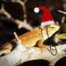 Hemobllo Bearded Dragon Santa Hat with Scarf | Lizard Christmas Outfit for Holiday Party Photos - Buy Online on GoSupps.com