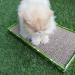 Buy Croci C6020464 Cardboard Catnip Scratching Post - 48 x 25 x 5 cm | International Shipping Available - Buy Online on GoSupps.com