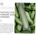 VANZACK Garden Key Hider 1pc Pentagram Mold Plastic Fruit Transparent Cucumber Tools Planting Supplies Watermelon Stereotypes - Buy Online on GoSupps.com