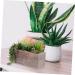 Cabilock Simulation Succulent Potted Plant Wooden Ornaments Plastic Green 23x10x17cm - Buy Online on GoSupps.com