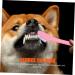 BESPORTBLE 2sets Pet Toothbrush Cat Toothpaste Dog Oral Cleaning Toothbrush Toothpaste for Dogs Puppy 10pcs*2 - Buy Online on GoSupps.com