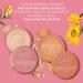 Rachel Couture Translucent Finishing Powder - Shine-Free Matte Finish | Vegan & Cruelty-Free | Arnica Extract Infusion | 0.28 Oz (Light) - Buy Online on GoSupps.com