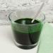 Golden Peanut Chlorella 1kg - 100% Raw Bio Chlorella Powder | Broken Cell Walls EU Organic Standard | Perfect for Green Smoothies - Buy Online on GoSupps.com