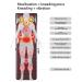 Heating Massager with 9 Modes - Full Body Vibration Therapy Massager for EU Shipping - Buy Online on GoSupps.com