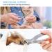 GLAMFIELDS Nail Clippers  17mm Wide Jaw Opening Toenail Clippers for Seniors Thick Toenails/Ingrown Toenail Treatment  Heavy Duty Fingernail Clipper for Manicure  Pedicure  Men & Women Big(Silver) A-Silver - Buy Online on GoSupps.com