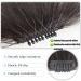 Bangs Hair Clip Oblique Bangs Wig Natural Forehead Partial Air Bangs Wig Female Invisible Seamless Fake Bangs Bangs Clip in Hair(Color:T1B/613) - Buy Online on GoSupps.com
